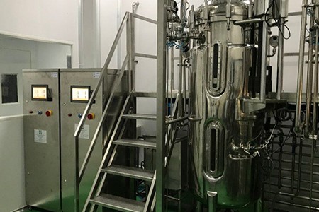 機械攪拌發酵罐