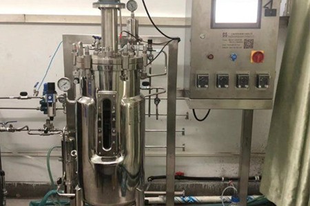 機械攪拌發酵罐