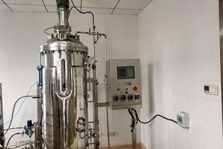 機械攪拌發酵罐