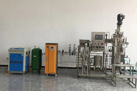 機械攪拌發酵罐