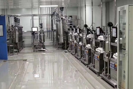 全自動實驗室不銹鋼發酵罐