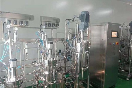 全自動實驗室不銹鋼發酵罐