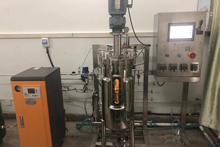 機械攪拌發酵罐