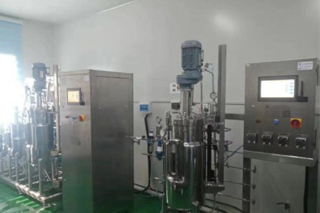 全自動實驗室不銹鋼發酵罐
